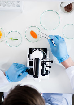 Laboratory Experiment Scene